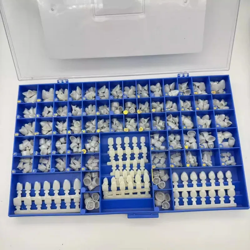 Molars dentaires prémolares, c - Teeth Whitening Moulds avis et prix