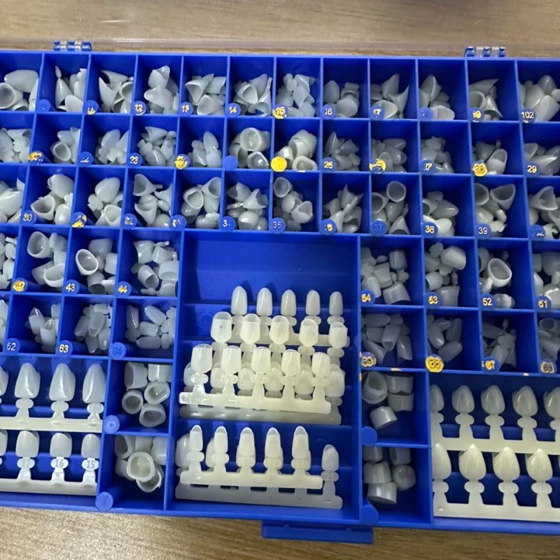 Molars dentaires prémolares, c - Teeth Whitening Moulds avis et prix